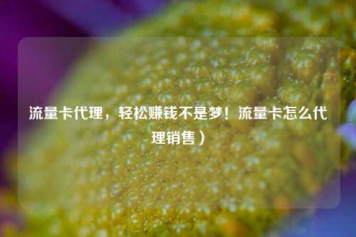 流量卡代理,轻松赚钱不是梦!流量卡怎么代理销售)