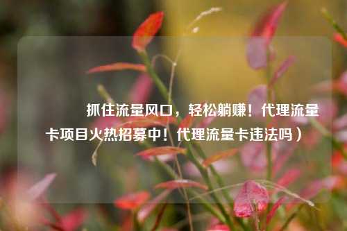 🚀抓住流量风口，轻松躺赚！代理流量卡项目火热招募中！代理流量卡违法吗）