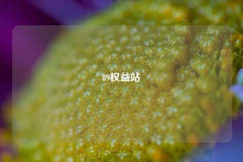 89权益站