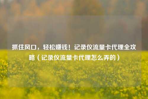 抓住风口，轻松赚钱！记录仪流量卡代理全攻略（记录仪流量卡代理怎么弄的）