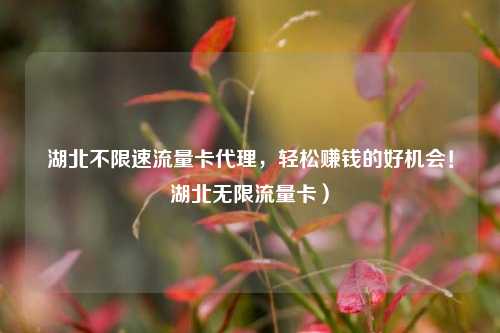 湖北不限速流量卡代理，轻松赚钱的好机会！湖北无限流量卡）