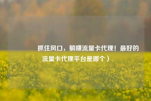 🚀抓住风口,躺赚流量卡代理!最好的流量卡代理平台是哪个)