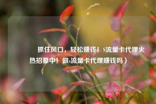 🚀抓住风口,轻松赚钱!S流量卡代理火热招募中!做s流量卡代理赚钱吗)