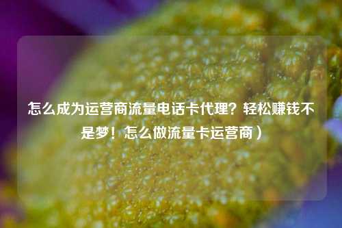 怎么成为运营商流量电话卡代理?轻松赚钱不是梦!怎么做流量卡运营商)