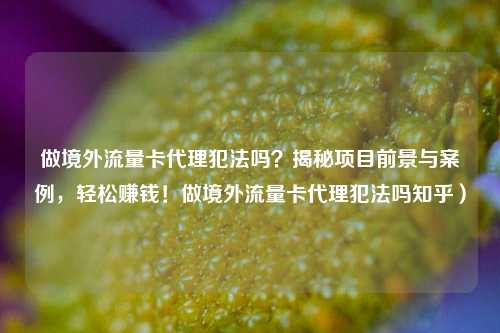 做境外流量卡代理犯法吗?揭秘项目前景与案例,轻松赚钱!做境外流量卡代理犯法吗知乎)