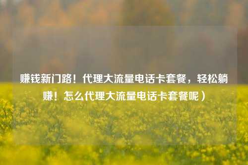 赚钱新门路!代理大流量电话卡套餐,轻松躺赚!怎么代理大流量电话卡套餐呢)