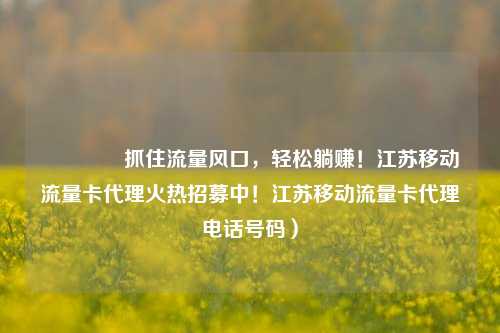 🚀抓住流量风口,轻松躺赚!江苏移动流量卡代理火热招募中!江苏移动流量卡代理电话号码)
