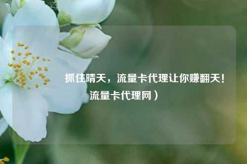 🌞抓住晴天,流量卡代理让你赚翻天!流量卡代理网)