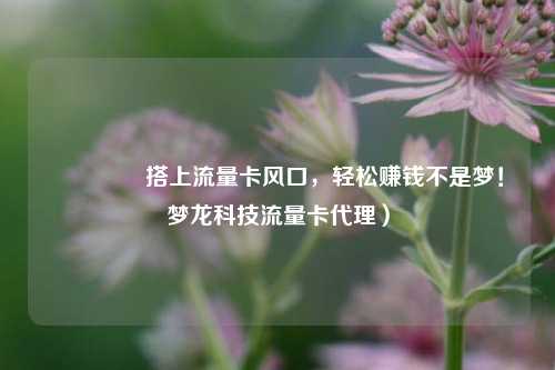 🚀搭上流量卡风口，轻松赚钱不是梦！梦龙科技流量卡代理）