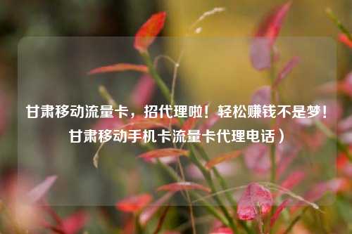 甘肃移动流量卡，招代理啦！轻松赚钱不是梦！甘肃移动手机卡流量卡代理电话）