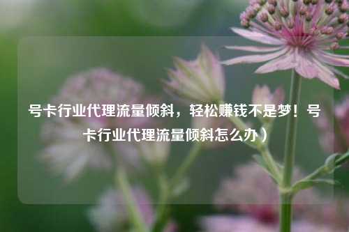 号卡行业代理流量倾斜,轻松赚钱不是梦!号卡行业代理流量倾斜怎么办)