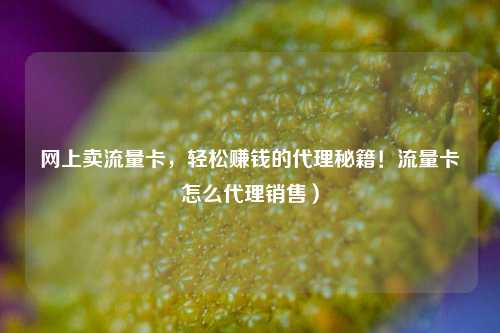 网上卖流量卡,轻松赚钱的代理秘籍!流量卡怎么代理销售)