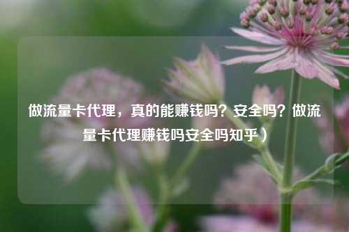 做流量卡代理,真的能赚钱吗?安全吗?做流量卡代理赚钱吗安全吗知乎)