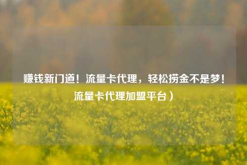 赚钱新门道!流量卡代理,轻松捞金不是梦!流量卡代理加盟平台)