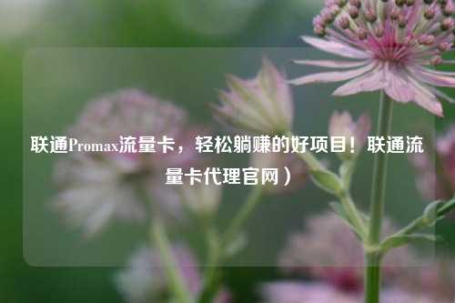 联通Promax流量卡,轻松躺赚的好项目!联通流量卡代理官网)