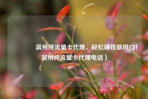 🚀滨州纯流量卡代理,轻松赚钱新风口!滨州纯流量卡代理电话)