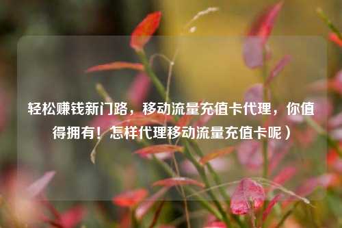 轻松赚钱新门路,移动流量充值卡代理,你值得拥有!怎样代理移动流量充值卡呢)