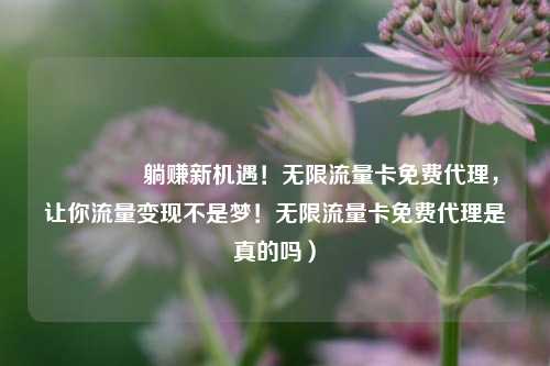 🚀躺赚新机遇!无限流量卡免费代理,让你流量变现不是梦!无限流量卡免费代理是真的吗)