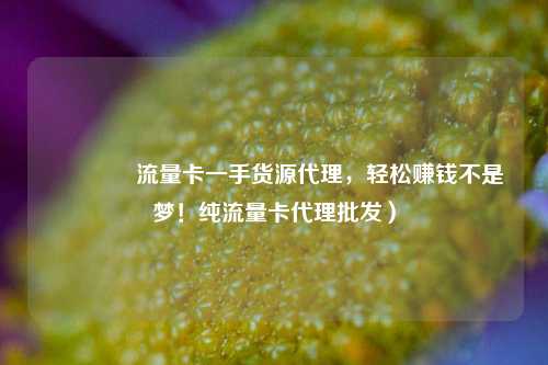 🚀流量卡一手货源代理,轻松赚钱不是梦!纯流量卡代理批发)