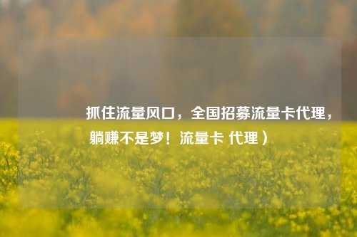 🚀抓住流量风口,全国招募流量卡代理,躺赚不是梦!流量卡 代理)