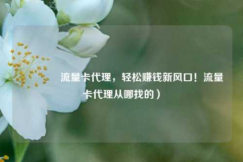 🚀流量卡代理,轻松赚钱新风口!流量卡代理从哪找的)