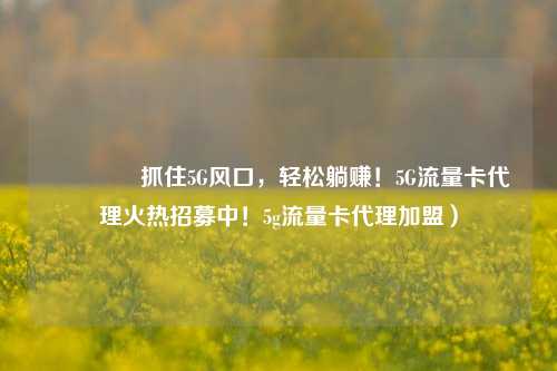 🚀抓住5G风口,轻松躺赚!5G流量卡代理火热招募中!5g流量卡代理加盟)