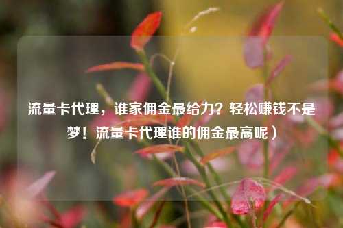 流量卡代理，谁家佣金最给力？轻松赚钱不是梦！流量卡代理谁的佣金最高呢）