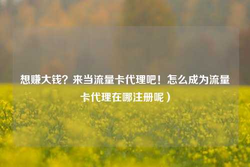 想赚大钱？来当流量卡代理吧！怎么成为流量卡代理在哪注册呢）