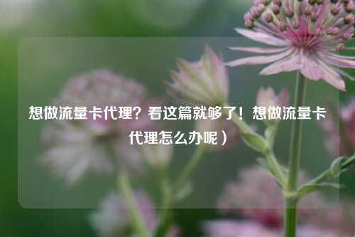 想做流量卡代理？看这篇就够了！想做流量卡代理怎么办呢）