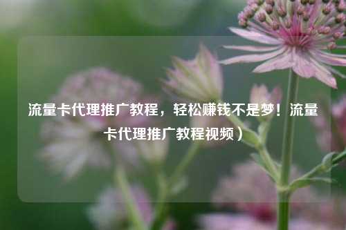 流量卡代理推广教程,轻松赚钱不是梦!流量卡代理推广教程视频)
