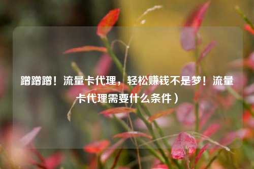 蹭蹭蹭!流量卡代理,轻松赚钱不是梦!流量卡代理需要什么条件)