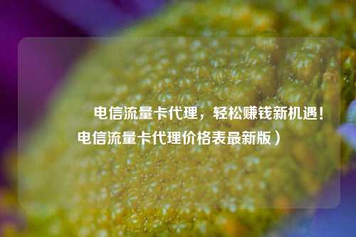 🚀电信流量卡代理，轻松赚钱新机遇！电信流量卡代理价格表最新版）