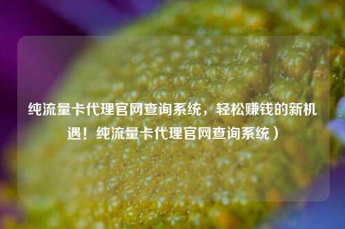 纯流量卡代理官网查询系统，轻松赚钱的新机遇！纯流量卡代理官网查询系统）