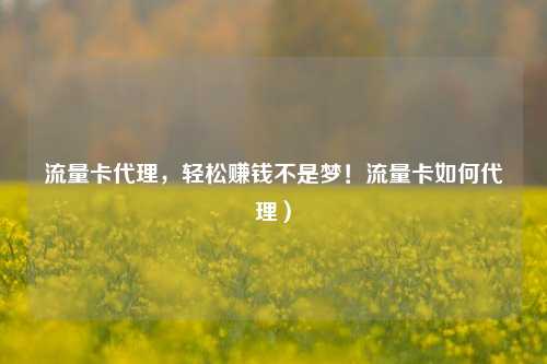 流量卡代理,轻松赚钱不是梦!流量卡如何代理)