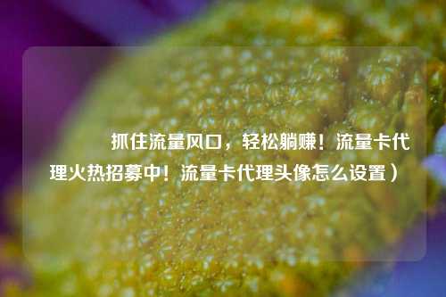 🚀抓住流量风口，轻松躺赚！流量卡代理火热招募中！流量卡代理头像怎么设置）