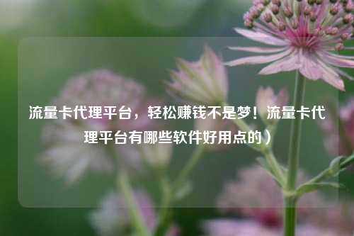 流量卡代理平台,轻松赚钱不是梦!流量卡代理平台有哪些软件好用点的)