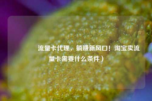 🚀流量卡代理，躺赚新风口！淘宝卖流量卡需要什么条件）