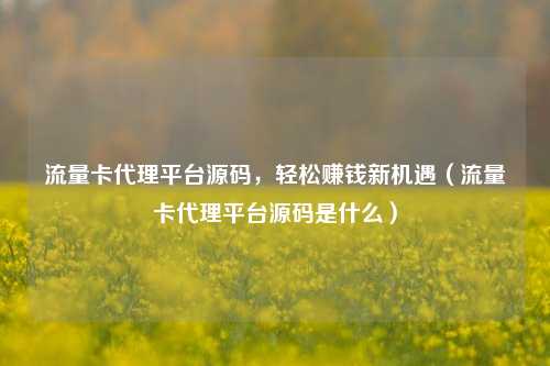 流量卡代理平台源码,轻松赚钱新机遇(流量卡代理平台源码是什么)