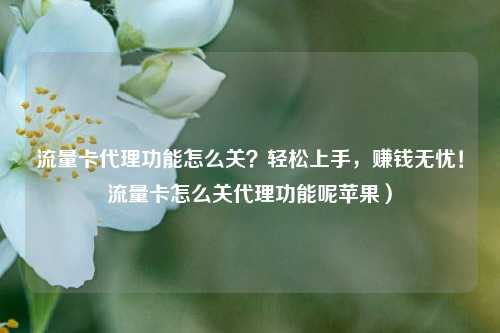 流量卡代理功能怎么关?轻松上手,赚钱无忧!流量卡怎么关代理功能呢苹果)