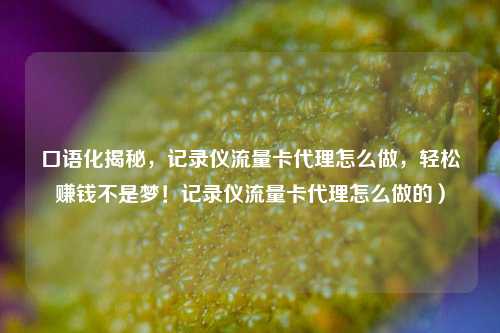 口语化揭秘,记录仪流量卡代理怎么做,轻松赚钱不是梦!记录仪流量卡代理怎么做的)