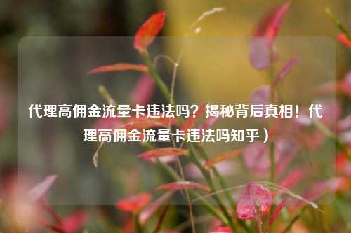 代理高佣金流量卡违法吗？揭秘背后真相！代理高佣金流量卡违法吗知乎）