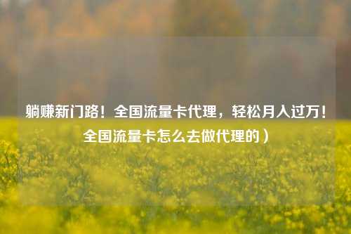 躺赚新门路!全国流量卡代理,轻松月入过万!全国流量卡怎么去做代理的)