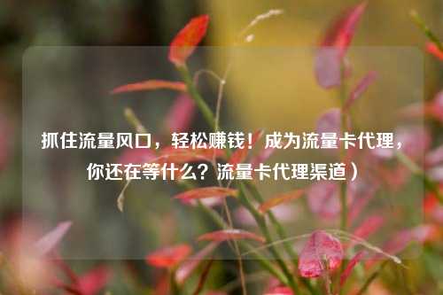 抓住流量风口，轻松赚钱！成为流量卡代理，你还在等什么？流量卡代理渠道）