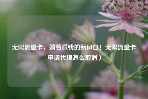 无限流量卡,躺着赚钱的新风口!无限流量卡申请代理怎么取消)