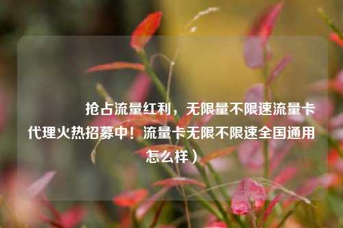 🚀抢占流量红利，无限量不限速流量卡代理火热招募中！流量卡无限不限速全国通用怎么样）