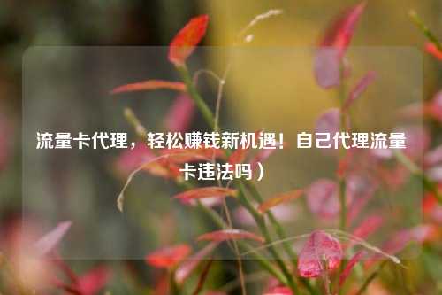 流量卡代理，轻松赚钱新机遇！自己代理流量卡违法吗）