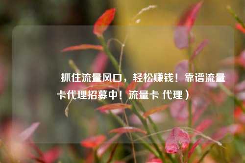 🚀抓住流量风口,轻松赚钱!靠谱流量卡代理招募中!流量卡 代理)