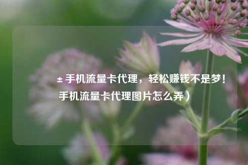 📱手机流量卡代理,轻松赚钱不是梦!手机流量卡代理图片怎么弄)