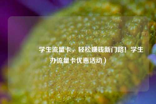 🚀学生流量卡，轻松赚钱新门路！学生办流量卡优惠活动）
