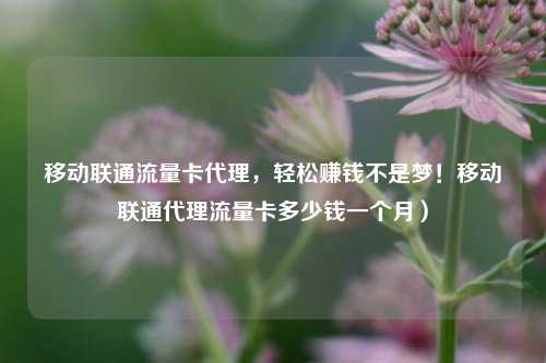 移动联通流量卡代理,轻松赚钱不是梦!移动联通代理流量卡多少钱一个月)